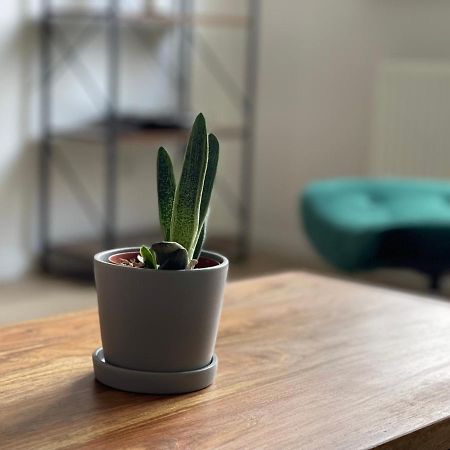 Modern * Zentral * Netflix * Arbeitsplatz Apartment วุปปาทัล ภายนอก รูปภาพ